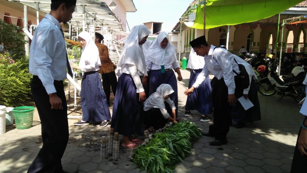 WhatsApp Image 2020-05-09 at 13.44.45 (2)